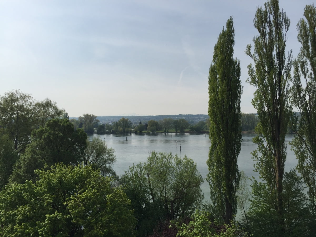 Lachen am Arbeitsplatz: Recap vom Agile Breakfast Konstanz